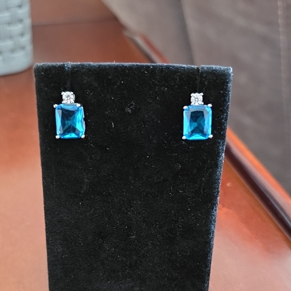 Elegant Blue and Silver Earrings